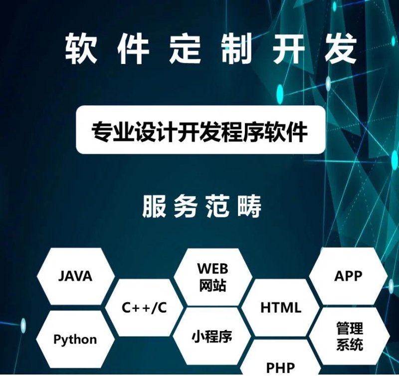 武汉软件开发公司的故事:创业与成长的双重奏